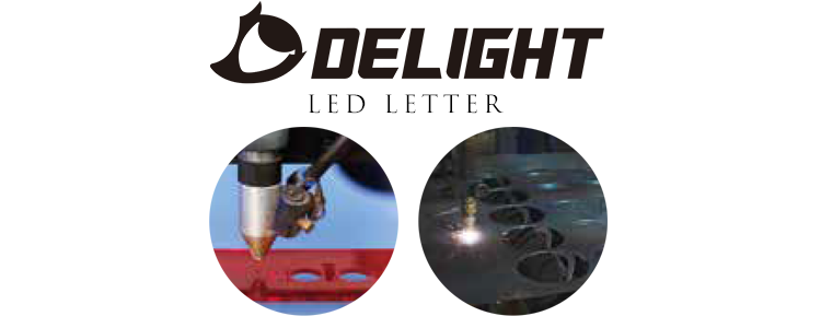 delight channel word